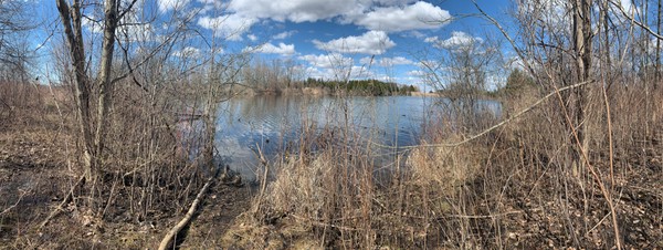 Lakes behind our property