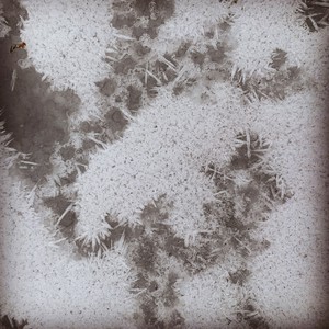 On the frozen pond