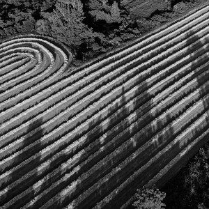 created by dji camera