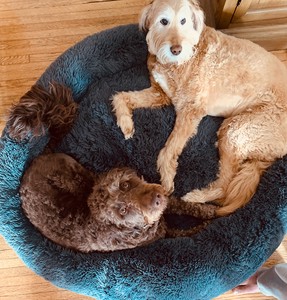 Luna and Gnocchi