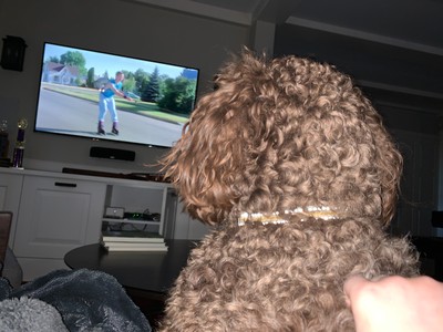 Gnocchi watching a movie