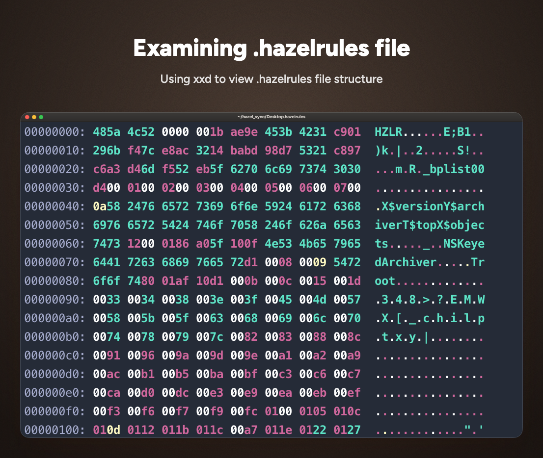 Hexadecimal view of a Hazel .hazelrules file showing its HZLR header and binary property list data